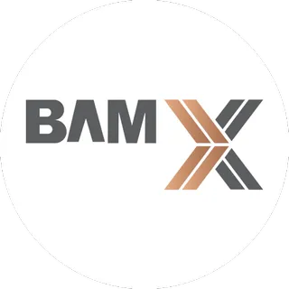 BAMX Development logo