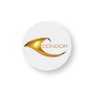 Condor logo