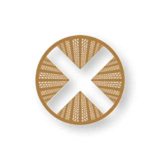 TownX Development logo
