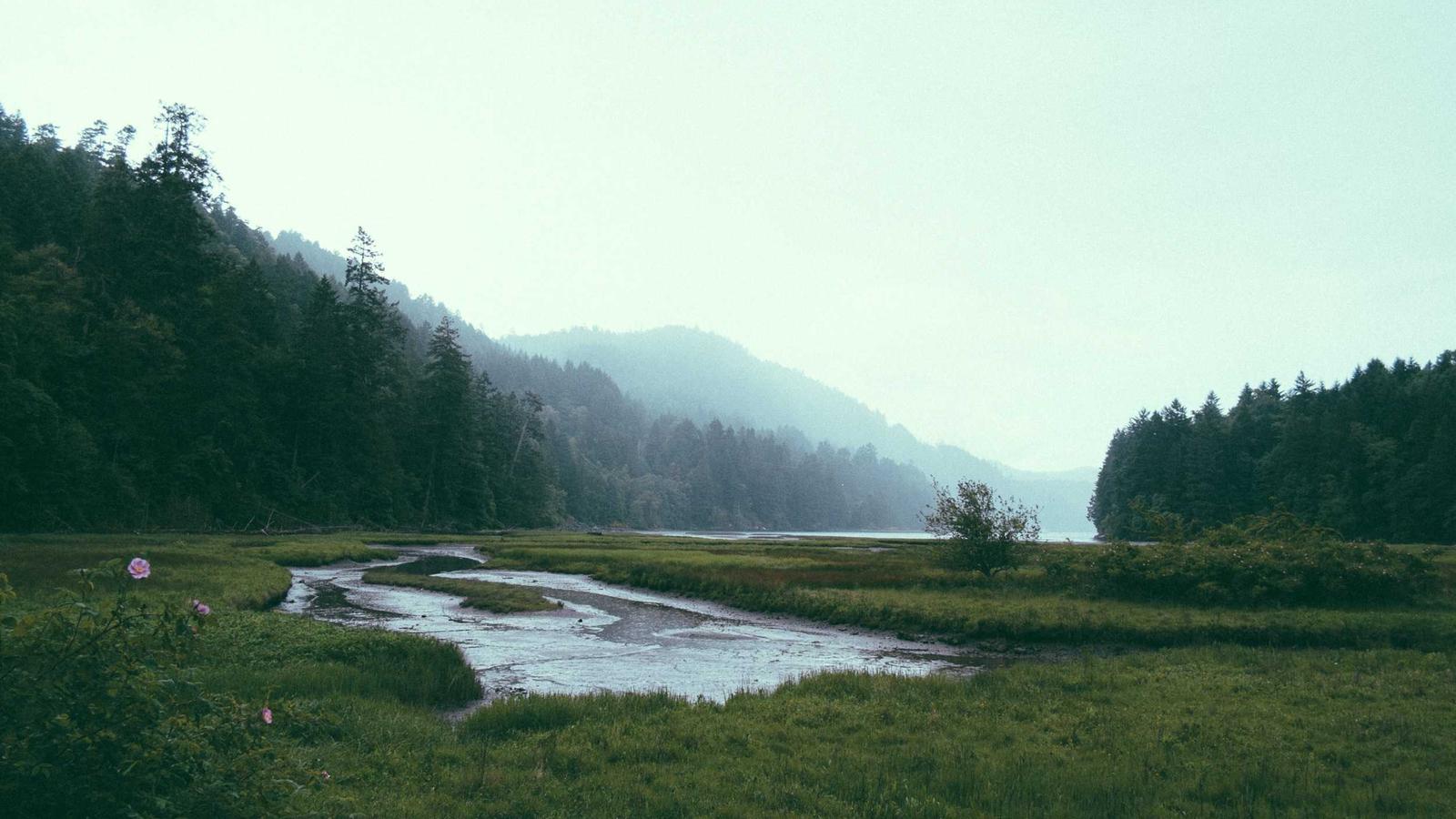 DAMAC Islands 2 — View 2