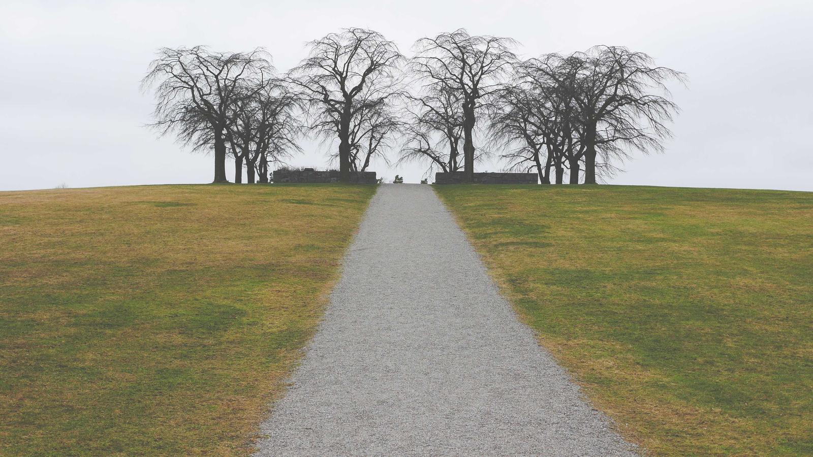 DAMAC Islands 2 — View 3