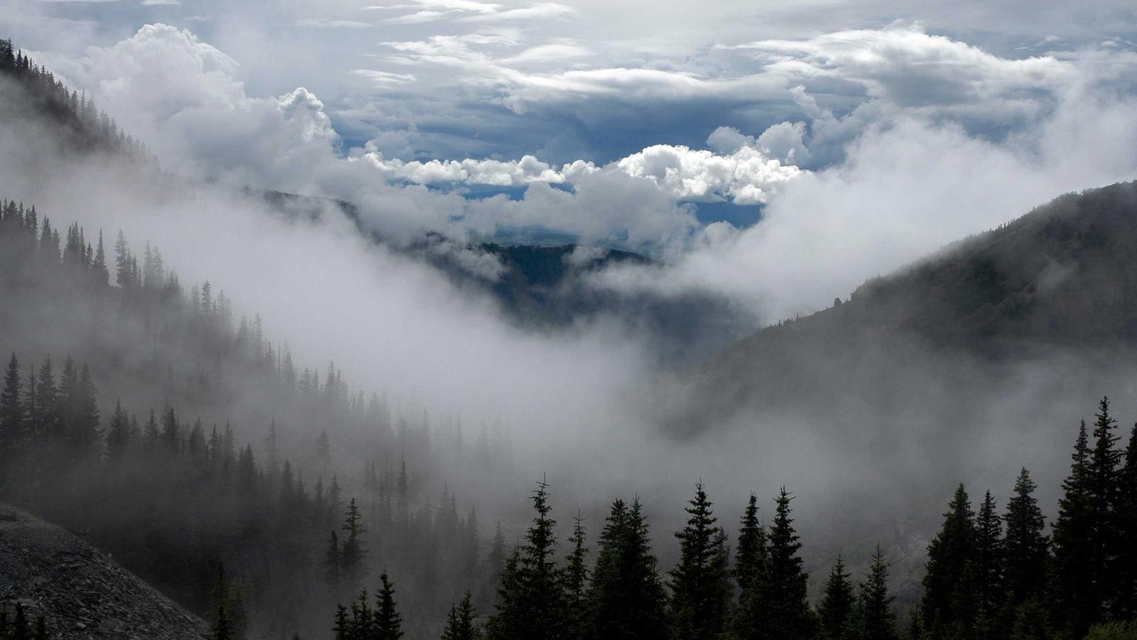 DAMAC Lagoons — View 2