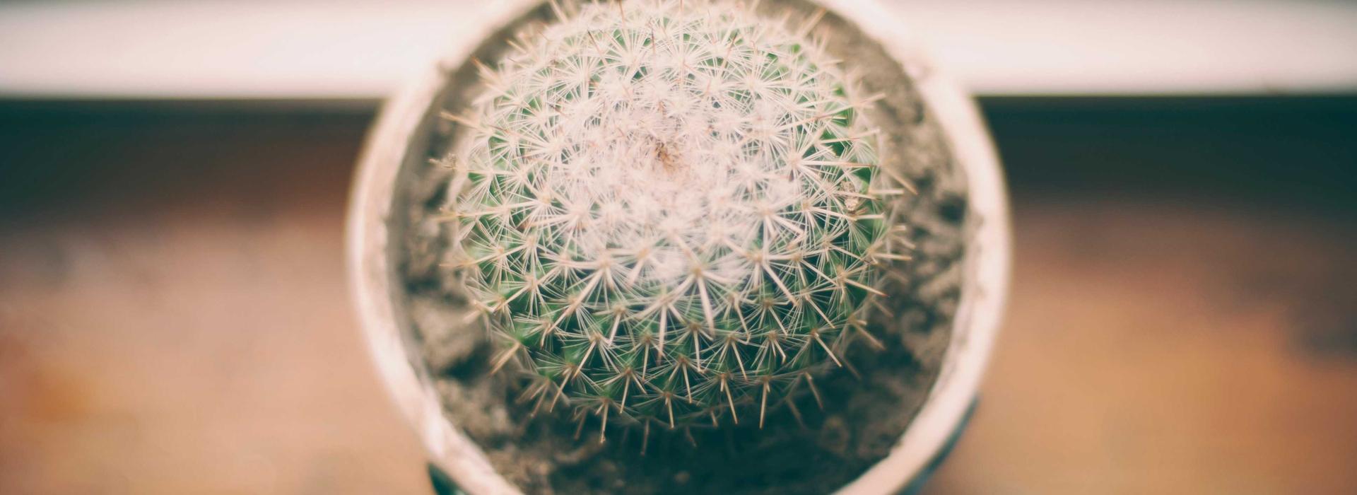 Danube Skyz Tower by Danube Properties